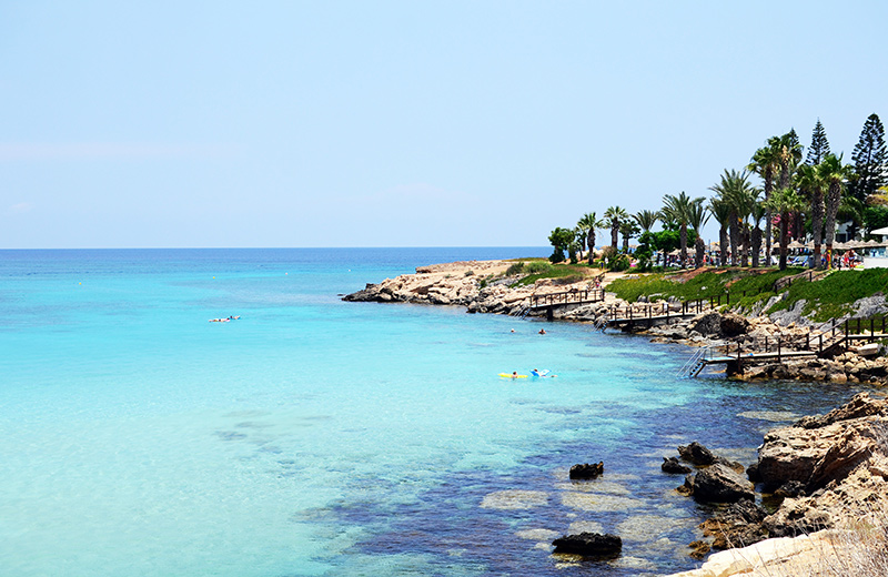 Fig tree bay
